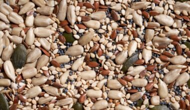 The 2 Seeds With the Most Fiber, According to Dietitians