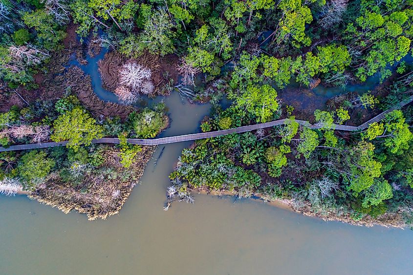 The eastern shore of Mobile Bay in Alabama, featuring scenic coastal views, marshlands, and small towns