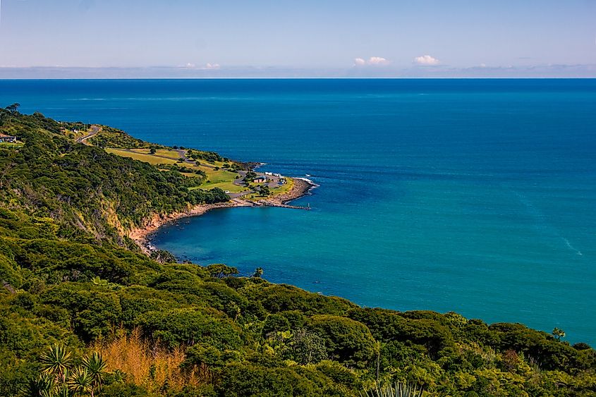 Panoramic view over high coast of Tasman Sea on an overcast summer day. High vantage point. Raglan, New Zealand.