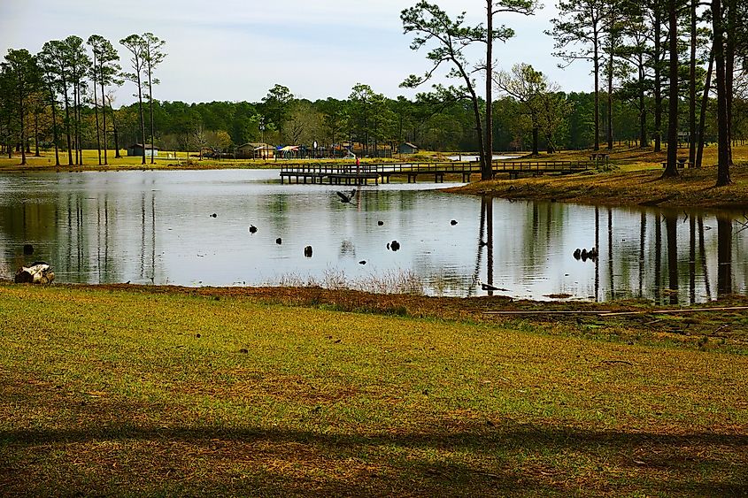 Paul B. Johnson State Park, Mississippi.