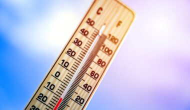 Arlington activates emergency weather shelters for freezing temps – NBC 5 Dallas-Fort Worth