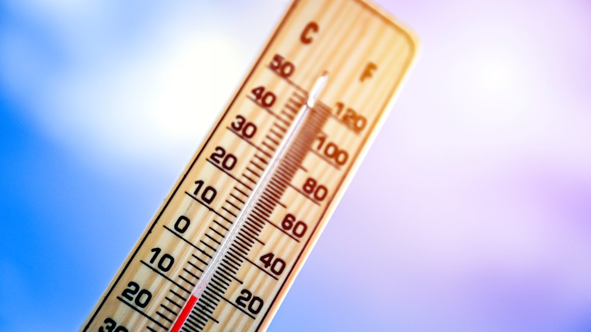 Arlington activates emergency weather shelters for freezing temps – NBC 5 Dallas-Fort Worth