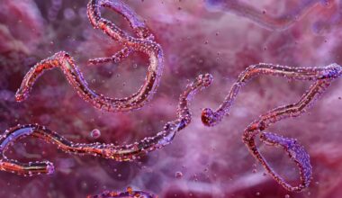 Ethiopia confirms first outbreak of Marburg virus | Health News