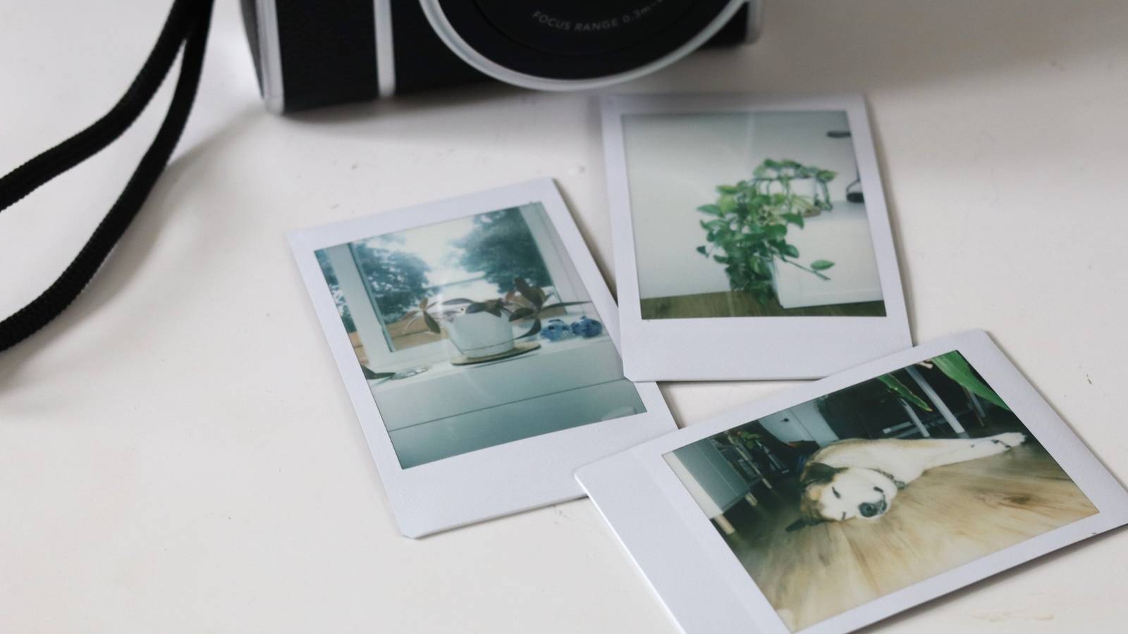 Why digital photos from the 2000s are disappearing (and what you can do about it)