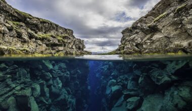 Deep Beneath The Pacific Ocean, Earth's Crust Is Tearing Itself Apart : ScienceAlert