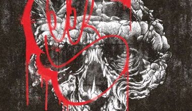 skarhead integrity 25