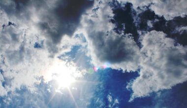 The Valley got a chance to dry out Friday after four straight days with rain, but another wet weath...