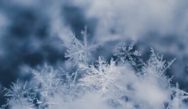 Chicago weather timeline shows rain, snow and windy conditions – NBC Chicago