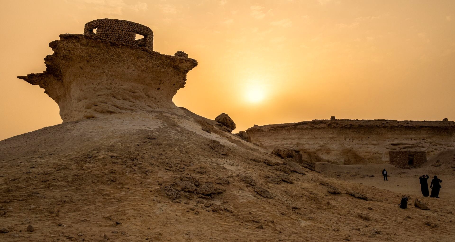 Over the last few decades, Qatar has made huge strides in conservation, allowing its wildlife to flourish.