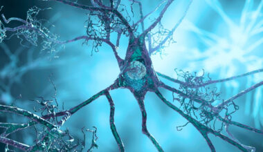 Supplement For High Blood Pressure Clears Signs of Alzheimer's in Mice : ScienceAlert