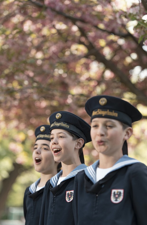 Members of the Vienna Boys Choir, which will perform at San Diego Symphony's Jacobs Music Center on Friday, Nov. 21. (Lukas Beck)