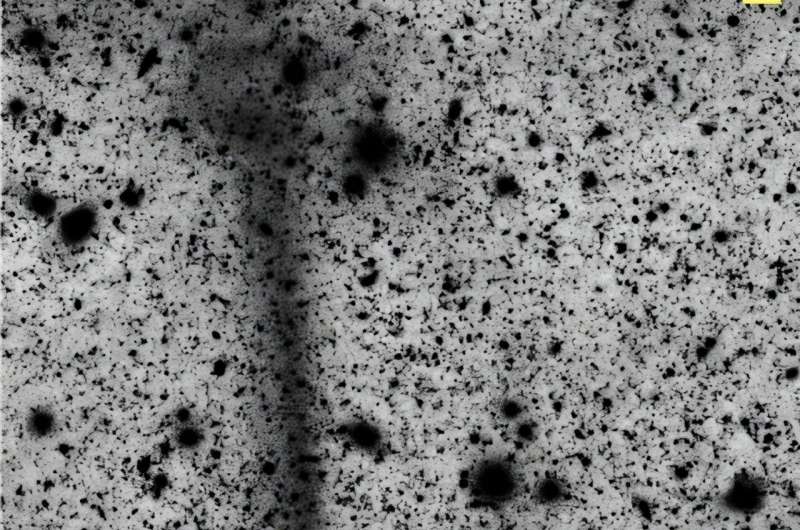 The keen-eyed Vera Rubin Observatory has discovered a massive stellar stream