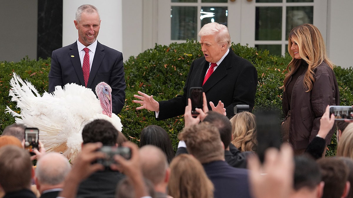 President Donald Trump and first lady Melania Trump with Thanksgiving turkey Gobble at the Rose Garden of the White House, Tuesday, Nov. 25, 2025, in Washington, D.C. (AP Photo/Evan Vucci)