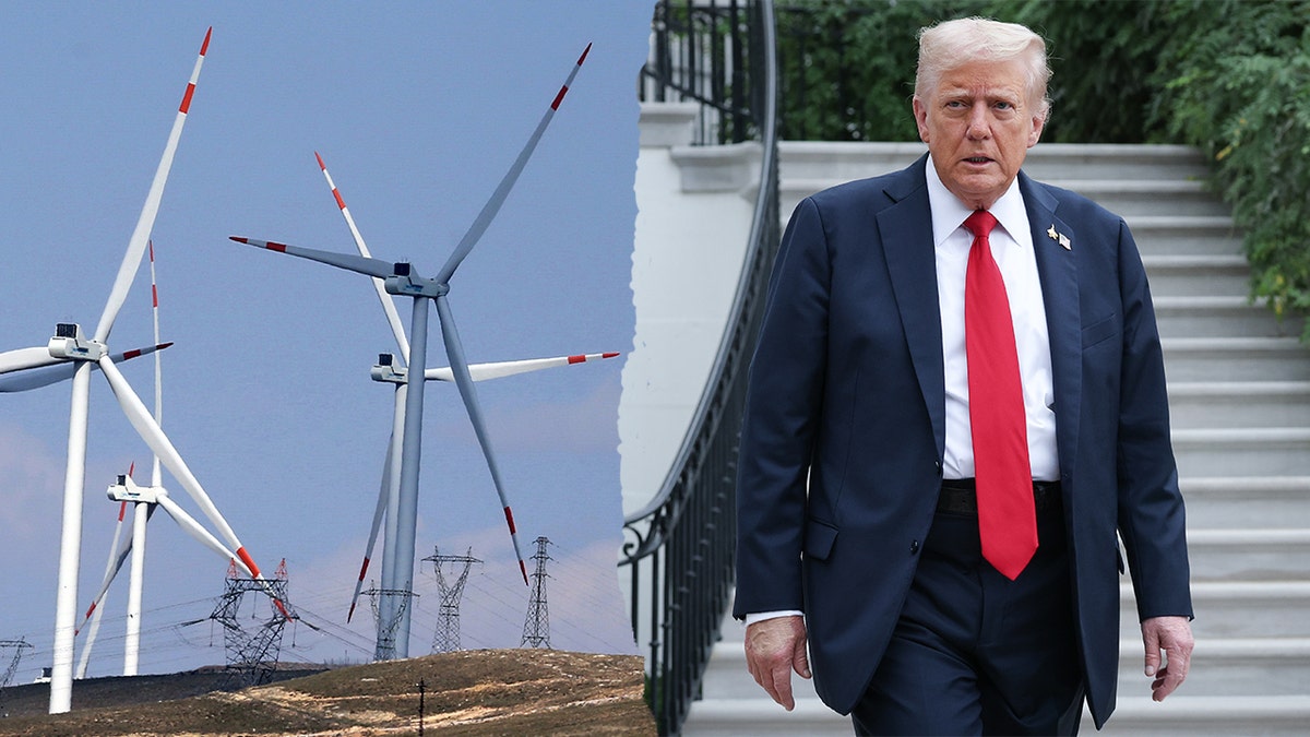 Wind turbines on the left and President Donald Trump on the right, with a tear in the middle.