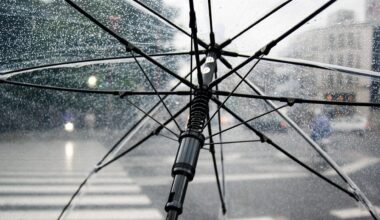 The metro Phoenix forecast calls for partly sunny skies and highs in the mid-80s on Thursday and Fr...