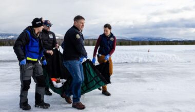 State could face "enforcement violations" over wolves, Greg Lopez says