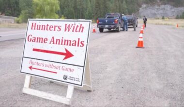 New CWD case found in deer on Flathead Reservation prompts hunter testing push