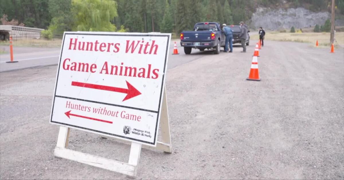 New CWD case found in deer on Flathead Reservation prompts hunter testing push