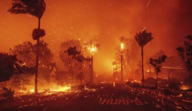 April trial date set in LA for suspect in deadly Palisades wildfire