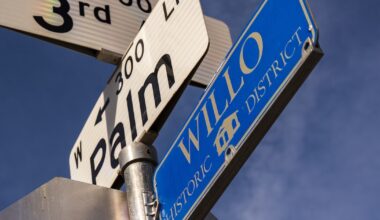 'A whole lot of risk for a little bit of lift'