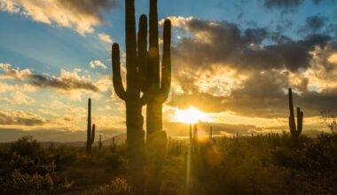FORECAST: Record warmth this weekend!