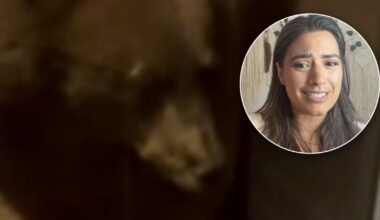 A hungry bear has returned to the same Boulder home for the 3rd time in a week