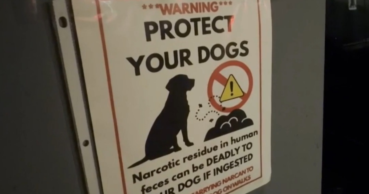 Dog tests positive for meth after morning walk in Los Angeles-area neighborhood