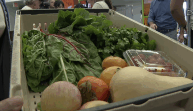 Trump admin's orders to reverse November SNAP benefits could impact San Diego