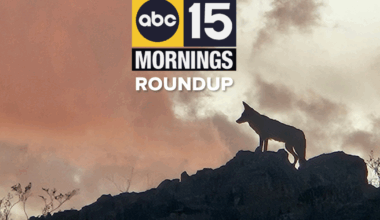 Community steps up with SNAP benefits in limbo, deadly Phoenix crash