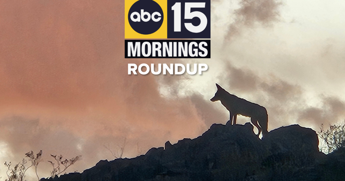 Community steps up with SNAP benefits in limbo, deadly Phoenix crash