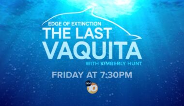 The Last Vaquita -- An ABC 10News Special
