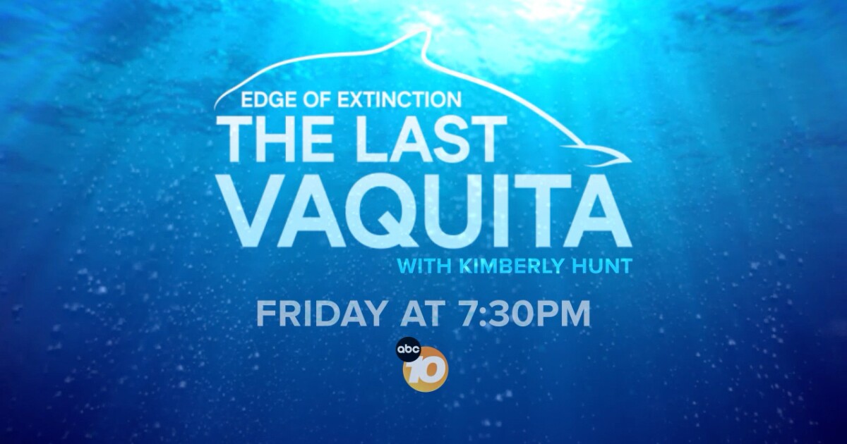 The Last Vaquita -- An ABC 10News Special