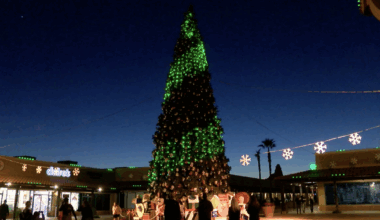 Arizona's tallest fresh-cut Christmas tree coming to Anthem for the 24th year