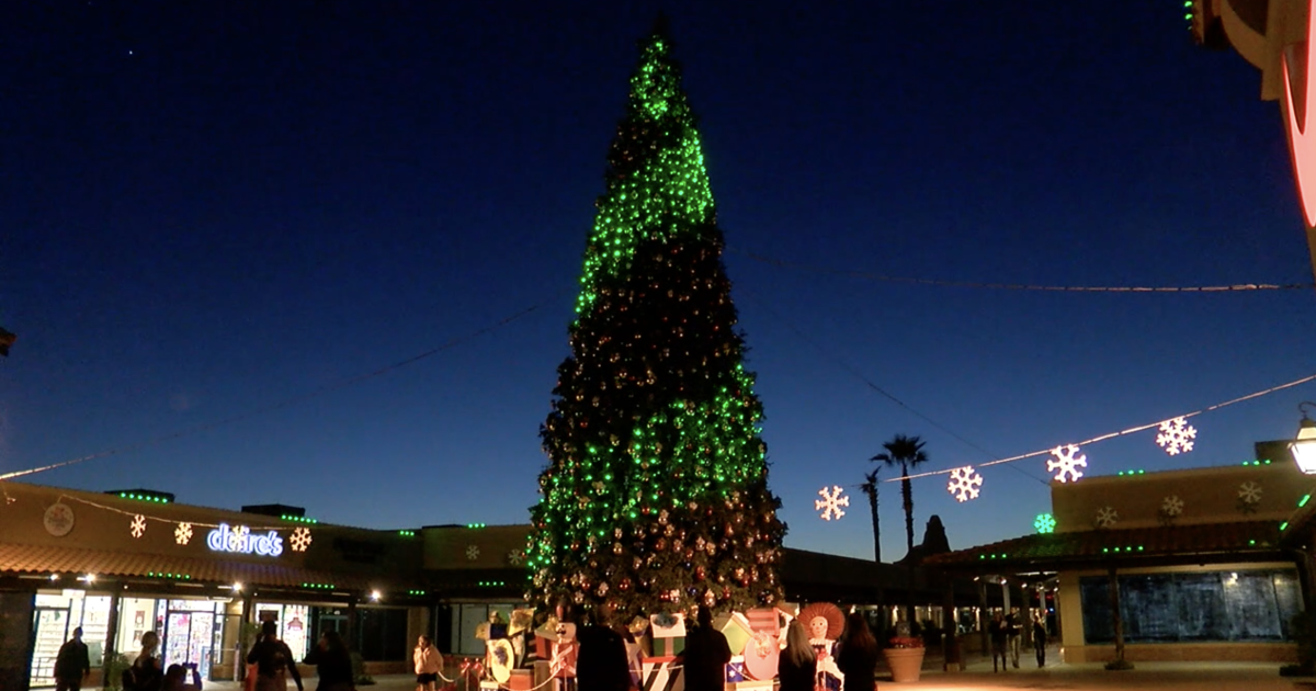 Arizona's tallest fresh-cut Christmas tree coming to Anthem for the 24th year