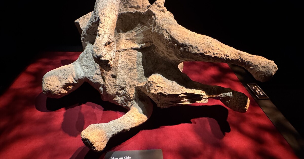 Pompeii exhibit at Arizona Science Center gives a chilling glimpse 2,000 years back