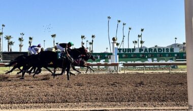 Turf Paradise in Phoenix begins 70th season with new vision