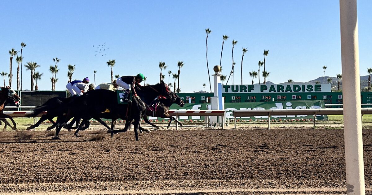 Turf Paradise in Phoenix begins 70th season with new vision