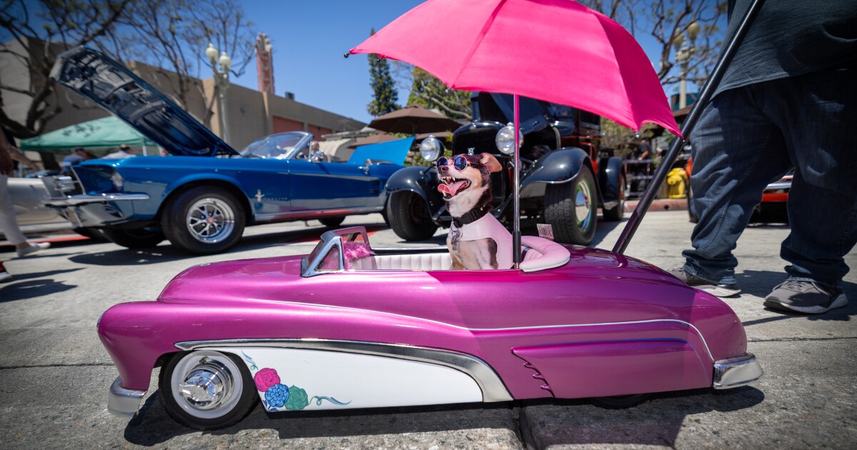 Culver City is latest to consider public drinking area for its downtown