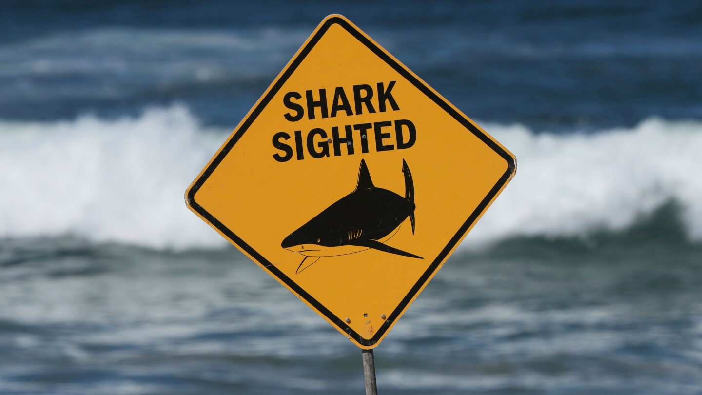 Shark kills 1 and seriously wounds another in Australia