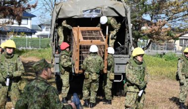 Japan deploys the military to counter surge in bear attacks