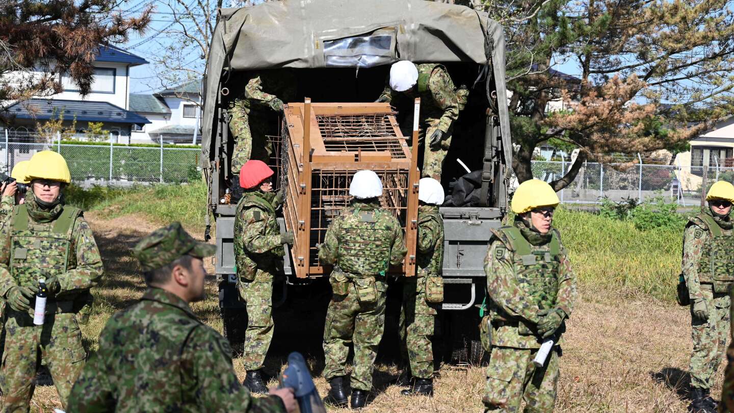 Japan deploys the military to counter surge in bear attacks