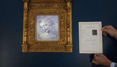 Own a digital copy of Leonardo da Vinci's 'Lady with Disheveled Hair'