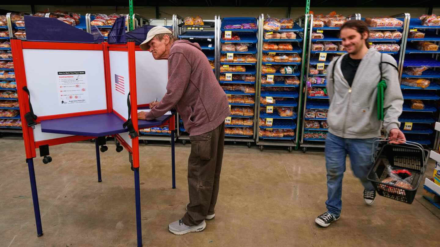 Economy dominated other issues in 2025 elections, poll finds