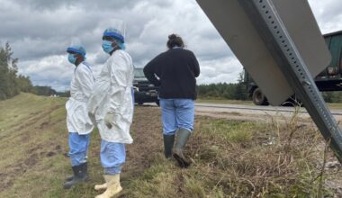 Last monkey from Mississippi highway escape is captured by authorities