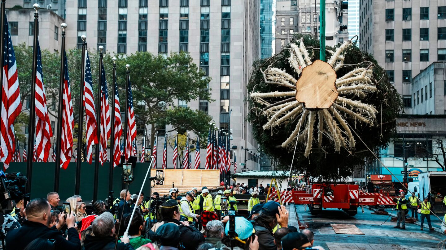 Rockefeller Center Christmas tree arrives in New York City
