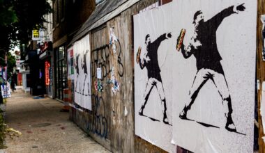 Trial begins for DC man seen throwing sandwich at agent in viral video