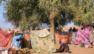 UN migration agency warns of humanitarian collapse in North Darfur