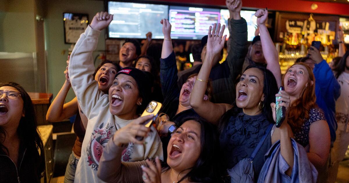 Taking inspiration from Mamdani, democratic socialists look to expand their power in L.A.