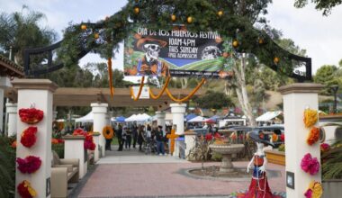 Some Día de los Muertos festivies are canceled, others march forward