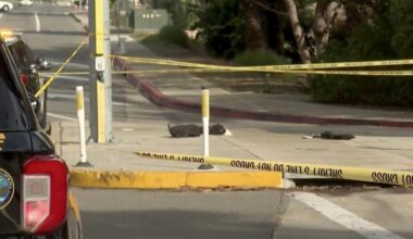 SoCal 13-year-old killed walking to school; suspect ID'd